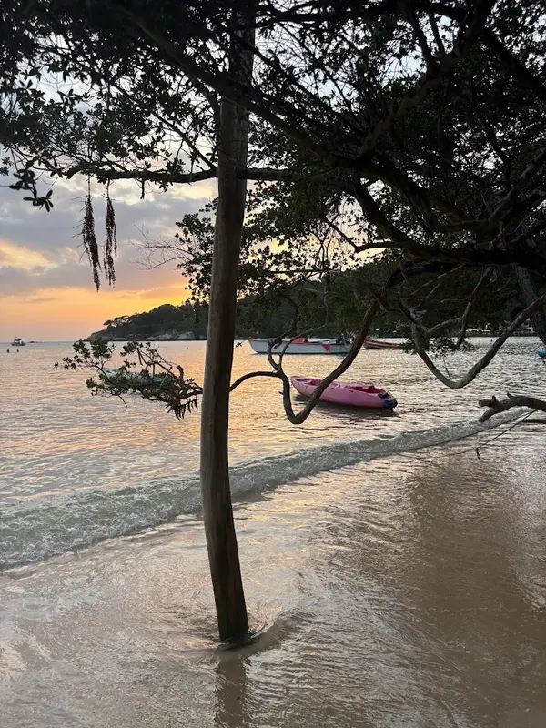 Beach at golden hour with kayak